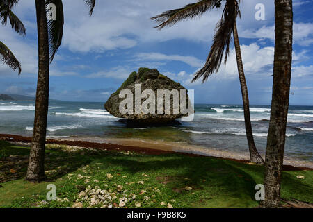 Betsabea in Barbados nella parrocchia di San Giuseppe Foto Stock