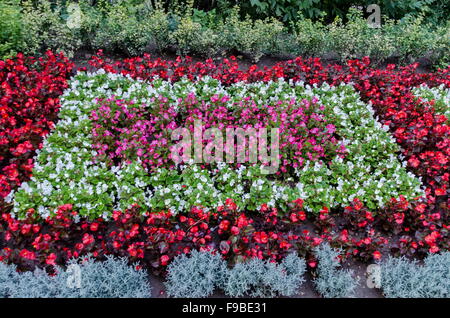 Sfondo di fiori diversi nel giardino della città di Razgrad, Bulgaria Foto Stock