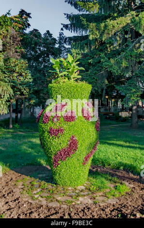 Forma con fiori nel giardino della città di Razgrad, Bulgaria Foto Stock