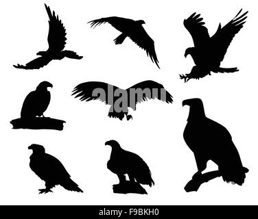 Vari eagle sagome isolati su sfondo bianco Illustrazione Vettoriale