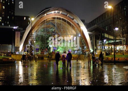 Il giardino di inverno in Surrey Street nel centro della città di Sheffield, South Yorkshire England Regno Unito - notte piovosa in inverno Foto Stock