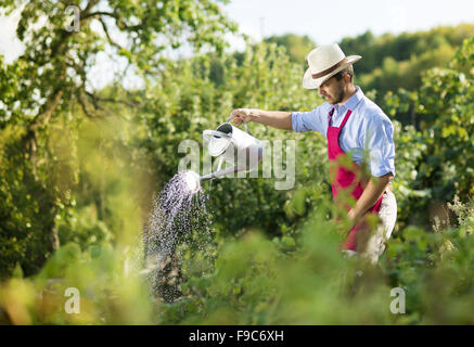 Giovane maschio giardiniere di impianti di irrigazione in giardino Foto Stock