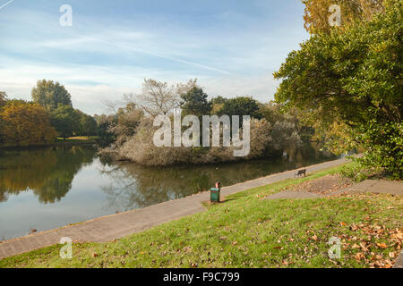 Lago nel parco vicino la città di Cork Foto Stock