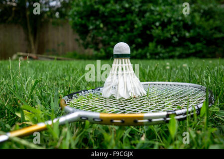 Badminton racchetta e volano sul prato Foto Stock