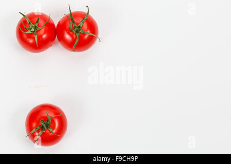 Il pomodoro è commestibile, spesso frutto rosso/berry di nightshade Solarium lycopersicum Foto Stock