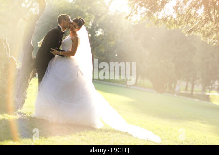 Sposa e lo Sposo che circonda da naturale golden luce solare Foto Stock