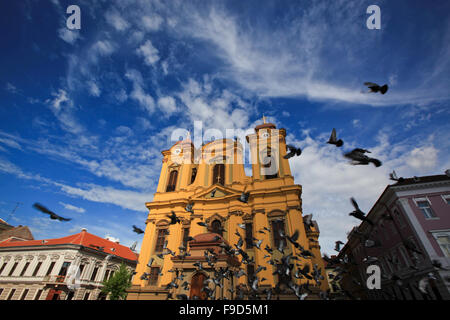 Piazza Unirii in Timisoara, Romania piccioni battenti giorno soleggiato Foto Stock