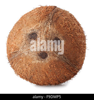 Tropical cocco fresco su sfondo bianco Foto Stock
