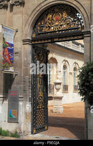 Francia Provenza Avignon Museo Calvet museum Foto Stock