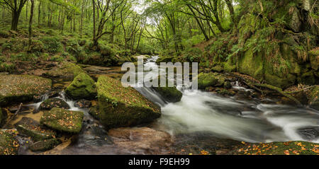 Immagine di panorama del fiume che scorre attraverso la lussureggiante foresta verde in estate Golitha Falls in Cornovaglia Foto Stock