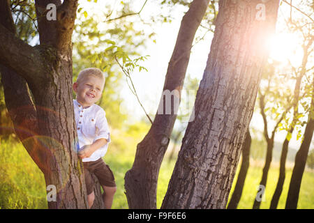 Little Boy giocando e sale su un albero esterno in un parco Foto Stock