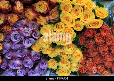 Francia Rhône-Alpes Lione mercato di fiori di rose Foto Stock