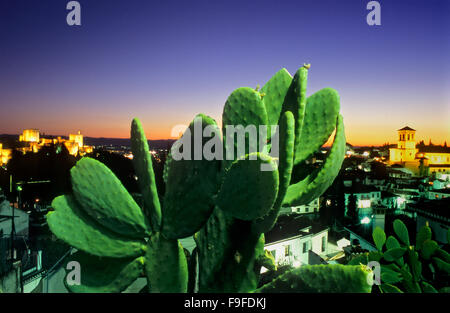 La vista della citta'. Alhambra e il quartiere Albaicín(a destra la Iglesia del Salvador). Granada, Andalusia, Spagna Foto Stock