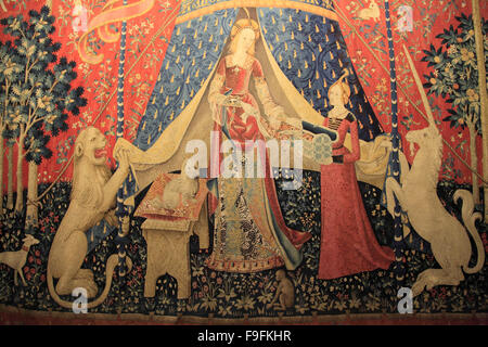 Francia Parigi Museo di Cluny, La Dame à la Licorne arazzo, Foto Stock