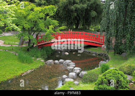 Francia, Parigi, Albert Kahn Museum, il giardino giapponese, Foto Stock