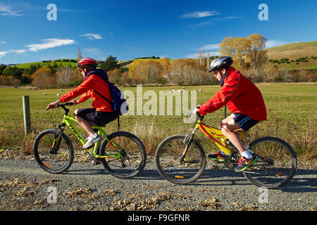 I ciclisti su oro Clutha Trail, Evans Appartamento vicino a Lawrence di Central Otago, Isola del Sud, Nuova Zelanda Foto Stock