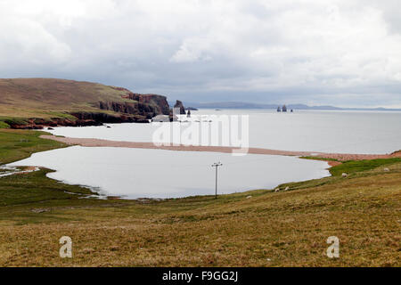 Il Drongs pietra arenaria rossa seastacks Il Neap Braewick scogliere Northmavine terraferma le isole Shetland Scozia UK Foto Stock