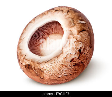 Cappuccio su un marrone champignon ruotato isolati su sfondo bianco Foto Stock