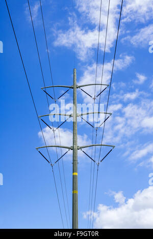 Linea elettrica aerea di San Diego, California Foto Stock