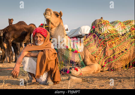 Ritratto di un senior di Rajasthani in appoggio anteriore della sua cammelli Pushkar Camel Fair, Rajasthan, India Foto Stock