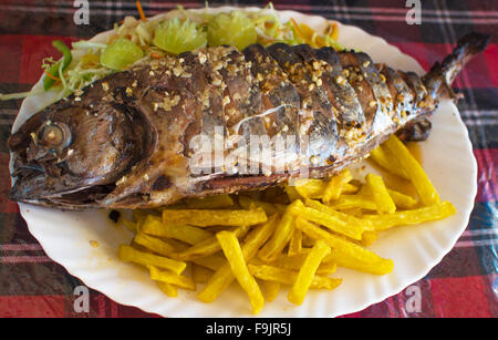 Piatto di pesce un tonno fritto su una piastra bianca, pesce, un tonno, su una piastra bianca, fritto, cibo, pesce di mare, un prodotto, un piatto di pesce Foto Stock