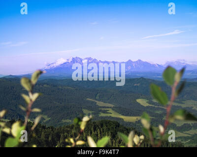 Panorama dei Monti Tatra da montagne Pieniny (Polonia) Foto Stock