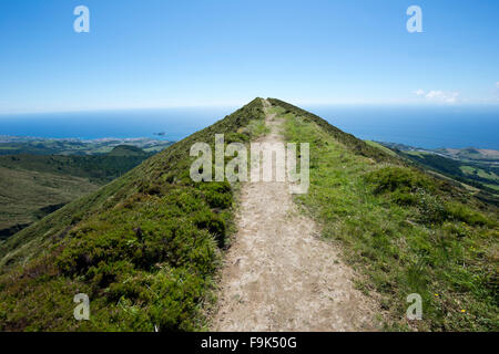 Percorso su pico da barrosa, serra de agua de pau, São Miguel, Azzorre, Portogallo Foto Stock