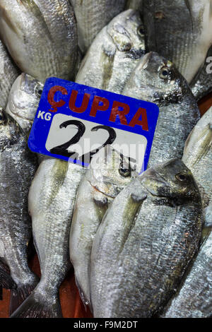 Mercato del Pesce, Galata waterfront, Istanbul Foto Stock