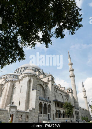 Cami Suleymaniye moschea, Istanbul, Marmara, Turchia. Foto Stock