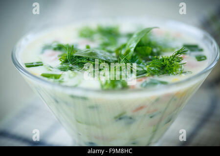 zuppa di cetriolo Foto Stock