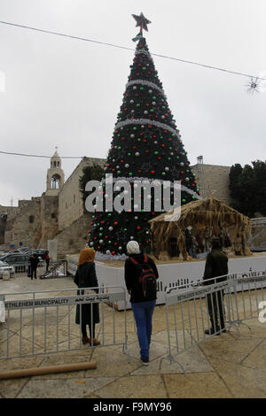 Betlemme, West Bank, Territorio palestinese. Xvii Dec, 2015. Una foto scattata sul dicembre 17, 2015 in Cisgiordania città di Betlemme mostra palestinesi in piedi di fronte ad un cristiano albero di Natale e la moschea sulla Piazza della Mangiatoia vicino alla chiesa della Natività, venerata come il sito di la nascita di Gesù Cristo, come il sito è molto frequentato da turisti e pellegrini in particolare a causa di una ondata di violenza che ha colpito i territori palestinesi di Gerusalemme e di Israele a partire da ottobre 1 © Wisam Hashlamoun APA/images/ZUMA filo/Alamy Live News Foto Stock