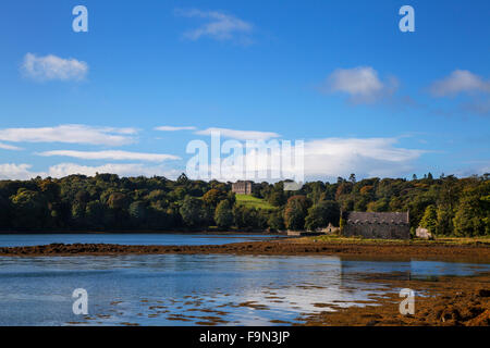 Lontano xviii secolo Castleward sulle rive di Strangford Lough, County Down, Irlanda del Nord Foto Stock