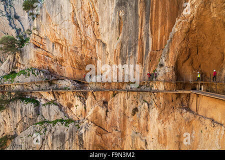 El Caminito del Rey è un passaggio pedonale, imperniato lungo le ripide pareti di una stretta gola a El Chorro, provincia di Malaga, Andalusia, Spagna Foto Stock