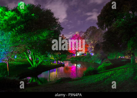 Il bellissimo bosco incantato in Syon Park, Londra. Foto Stock