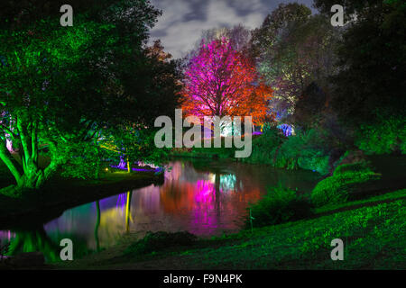 Il bellissimo bosco incantato in Syon Park, Londra. Foto Stock