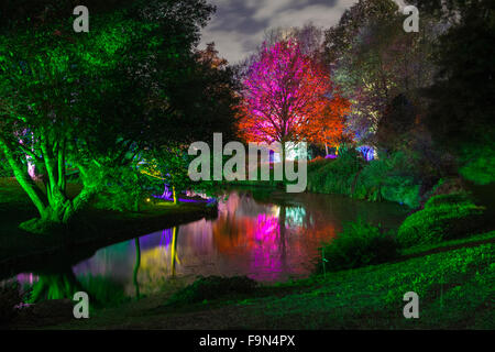 Il bellissimo bosco incantato in Syon Park, Londra. Foto Stock