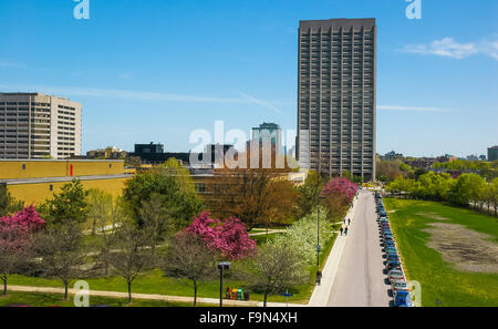 Skyline, pascolo Tunneys, Ottawa, Ontario. Foto Stock