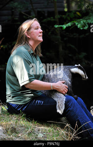 Donna con orfani europei (Badger Meles meles) seduto sul suo giro Foto Stock