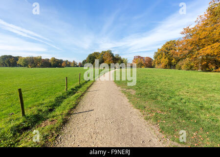 Traccia di sporco o sandpath tra il verde dei prati con i colori dell'autunno Foto Stock