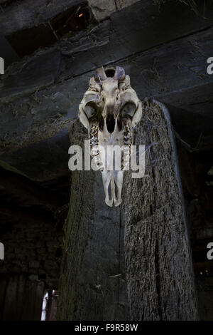 Cranio di pecora in colonne di legno di una casa Foto Stock