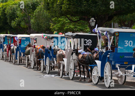 Array di vecchie carrozze a cavallo sul streetof Granada Foto Stock