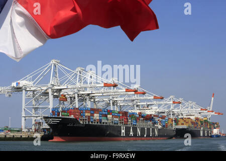 Lo scarico di una lumaca. Contenitore terminale. Le Havre. Foto Stock