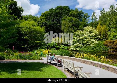 I visitatori in appoggio su una panca di legno accanto al Giardino del Lago a RHS Rosemoor, North Devon, Inghilterra, Regno Unito Foto Stock