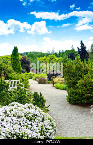 Il Giardino del fogliame presso RHS Rosemoor, North Devon, Inghilterra, Regno Unito Foto Stock