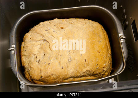 Il pane fatto in casa nella macchina del pane Foto Stock