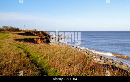 Una scogliera percorso superiore erodendo scogliere sulla costa est a Happisburgh, Norfolk, Inghilterra, Regno Unito. Foto Stock