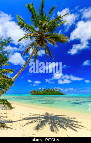 Rarotonga Isole Cook. Isola Motu e Palm tree, Muri laguna. Foto Stock