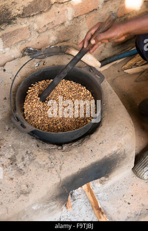 La tostatura i chicchi di caffè, Omwani donne cooperativa di caffè, Uganda Foto Stock