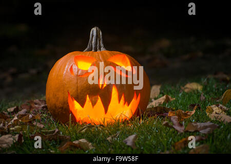 Intagliato Zucca di Halloween Jack o Lantern Foto Stock