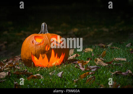 Intagliato Zucca di Halloween Jack o Lantern Foto Stock